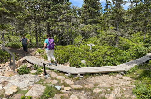 A wooden path winds through a forested area, with two hikers visible among the trees and shrubs.