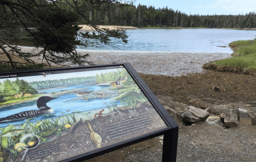 A scenic view of a calm water body with a nature information sign in the foreground, surrounded by trees and greenery.