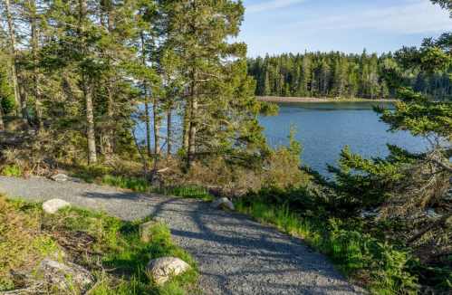 A winding gravel path leads through trees to a serene lake surrounded by lush greenery and distant hills.
