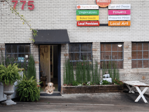 A dog sits at the entrance of a market with colorful signs for various goods and a small garden.