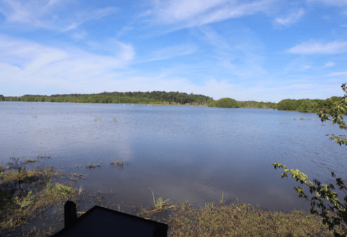 A serene lake surrounded by greenery under a clear blue sky with scattered clouds.