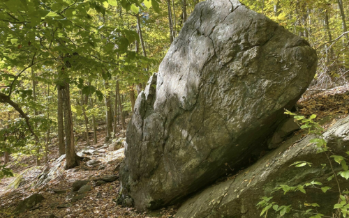 A large boulder sits among trees in a forest, surrounded by fallen leaves and rocky terrain.