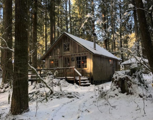 A cozy wooden cabin nestled in a snowy forest, surrounded by tall trees and soft sunlight filtering through.