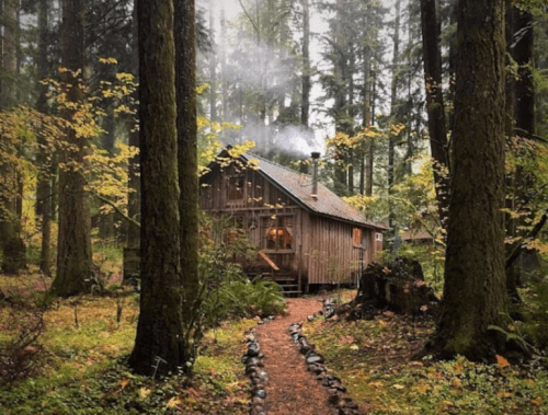A cozy wooden cabin nestled in a lush forest, with smoke rising from the chimney and autumn leaves scattered around.