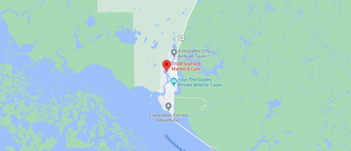 Map showing Everglades City with markers for Trad Seafood Market & Café and nearby attractions.