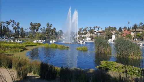 A serene lake with a fountain, surrounded by palm trees and boats, under a clear blue sky.