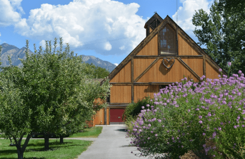A rustic wooden barn surrounded by trees and purple flowers, with mountains and blue skies in the background.
