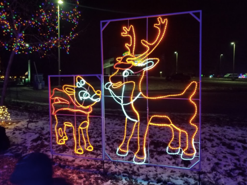Two illuminated reindeer decorations in colorful lights, set against a dark night sky with festive lights in the background.