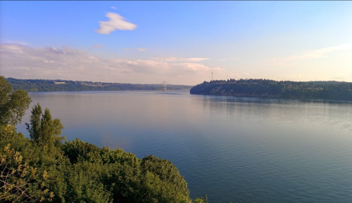 A serene river scene with calm water, lush greenery, and distant hills under a clear blue sky.