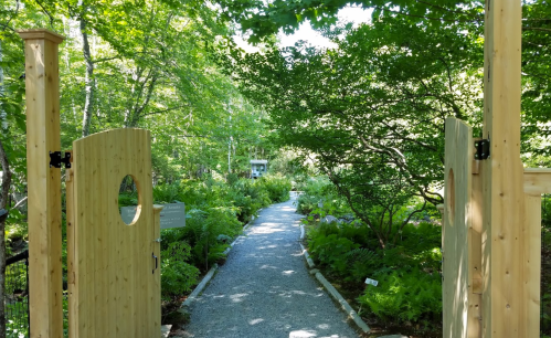A serene garden path leads through wooden gates, surrounded by lush greenery and dappled sunlight.