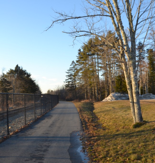 A paved path lined with a fence, surrounded by trees and grass under a clear blue sky.