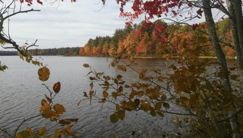 A serene lake surrounded by trees with vibrant autumn foliage in shades of red, orange, and yellow.