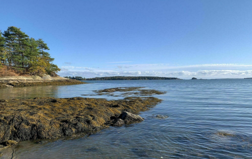 A serene coastal scene with rocky shorelines, calm water, and trees under a clear blue sky.