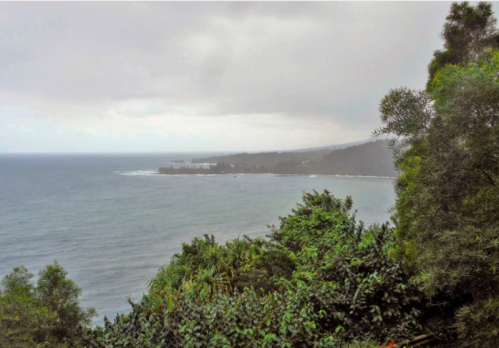A coastal view with lush greenery in the foreground and a cloudy sky over the ocean in the background.