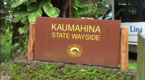 Sign for Kaumahina State Wayside, surrounded by lush greenery and tropical plants.
