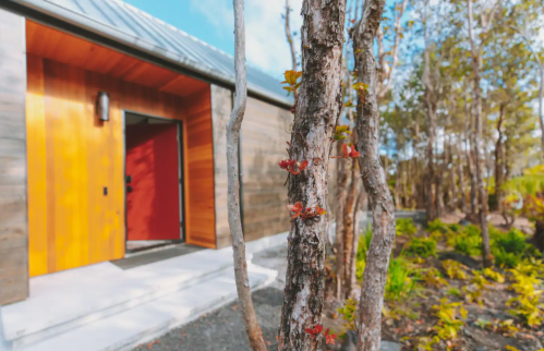 A modern home with a red door, surrounded by trees and greenery, showcasing a blend of nature and architecture.