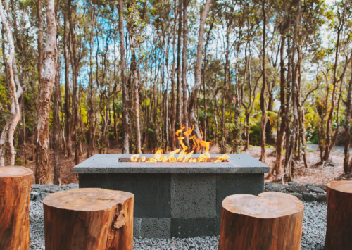 A fire pit surrounded by wooden stools in a forested area, with trees and greenery in the background.