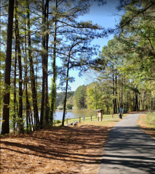 A serene path lined with trees beside a calm lake on a sunny day.