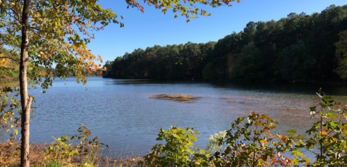 A serene lake surrounded by trees, with clear blue skies and autumn foliage reflecting on the water's surface.