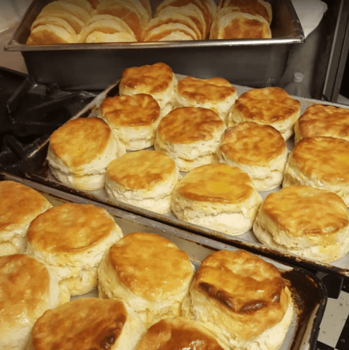 Freshly baked golden biscuits arranged on trays, with a soft, flaky texture and a warm, inviting appearance.