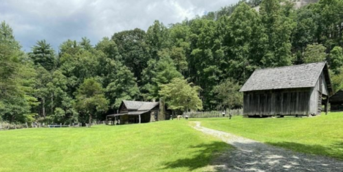 A serene landscape featuring two rustic wooden cabins surrounded by lush green trees and a gravel path.