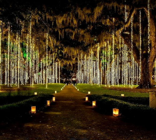 A pathway lined with glowing lanterns leads through a park adorned with hanging lights on trees at night.
