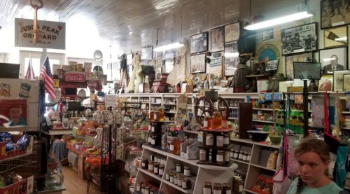 A vintage general store filled with shelves of products, jars, and historical photos, creating a nostalgic atmosphere.