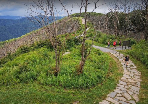A winding stone path leads through lush greenery on a mountain, with hikers enjoying the scenic view.