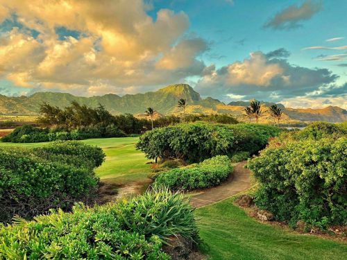 A scenic view of lush greenery and a winding path, with mountains and a colorful sky in the background.