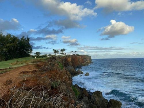 A rocky coastline with waves crashing against the shore, under a blue sky with scattered clouds and palm trees in the distance.