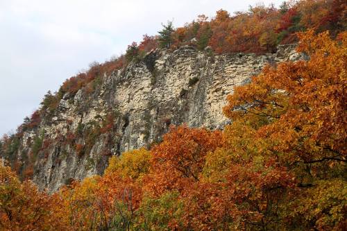 A rocky cliff surrounded by vibrant autumn foliage in shades of orange and yellow.