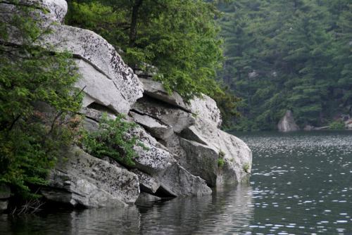 Rocky shoreline with lush greenery beside a calm lake, reflecting the surrounding trees and sky.