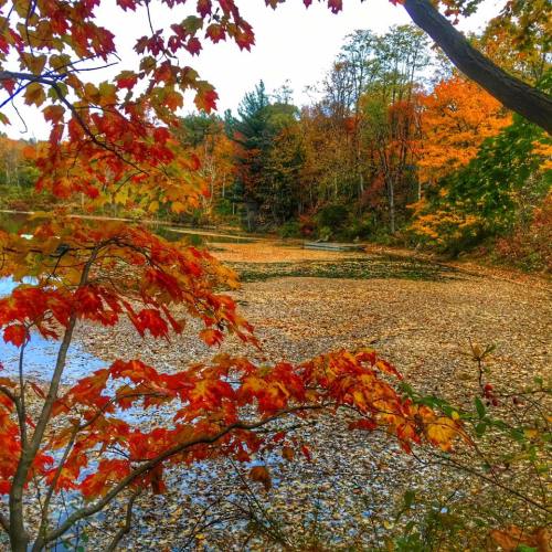 Vibrant autumn foliage surrounds a serene lake, with orange and red leaves reflecting on the water's surface.