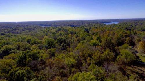 Aerial view of a lush, green forest with a river in the distance under a clear blue sky.
