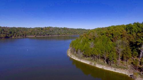 A serene lake surrounded by lush green trees under a clear blue sky.