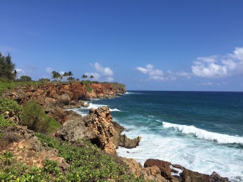 Coastal view with rocky cliffs, lush greenery, and waves crashing against the shore under a clear blue sky.