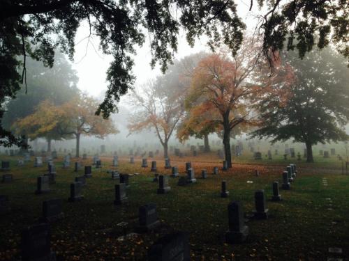A foggy cemetery with gravestones surrounded by trees displaying autumn foliage.
