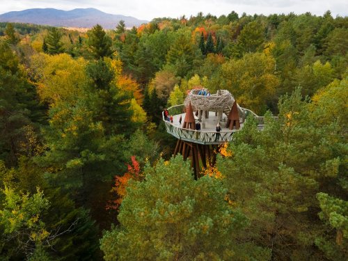 A treehouse observation deck surrounded by vibrant autumn foliage and mountains in the background.