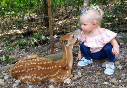 A young child kneels beside a fawn, sharing a gentle moment in a natural setting.