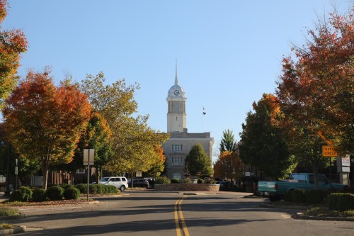 A tree-lined street with colorful autumn foliage leading to a clock tower building under a clear blue sky.