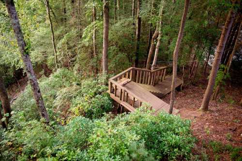 A wooden staircase winds through a lush green forest, surrounded by trees and foliage.
