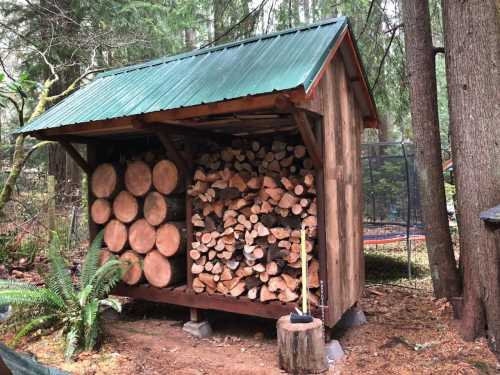 A wooden shed with a green metal roof, stacked with logs, surrounded by trees in a forested area.