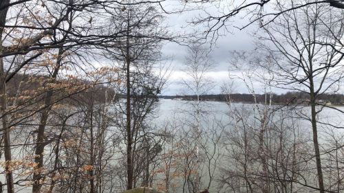 A serene lake view framed by bare trees under a cloudy sky, with hints of early spring foliage.