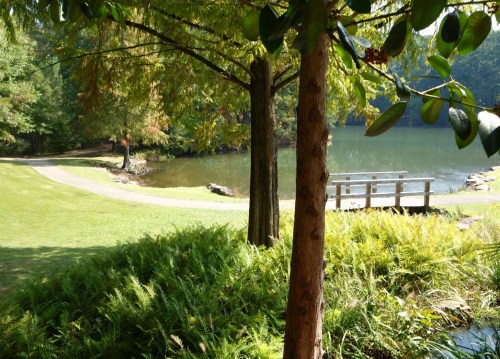 A serene park scene featuring a pond, lush greenery, and a wooden bridge under a clear blue sky.