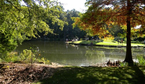 A serene park scene featuring a calm pond surrounded by trees and people enjoying the outdoors on a sunny day.