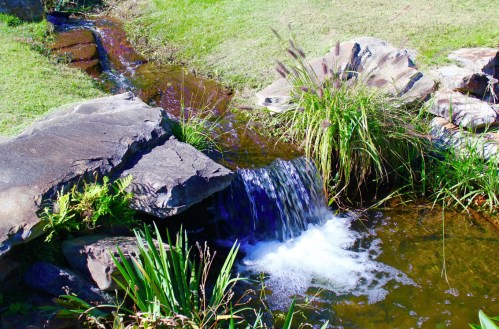 A serene stream flows over rocks, surrounded by lush green grass and plants, creating a peaceful natural scene.