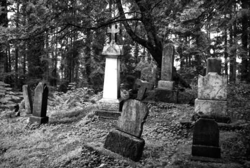A black and white image of an overgrown cemetery with various old gravestones surrounded by trees.