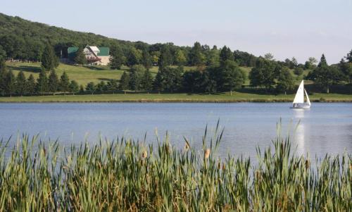 A serene lake scene with a sailboat, lush greenery, and a large house on a hill in the background.