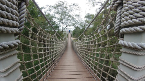 A long suspension bridge made of wood and rope, surrounded by trees, leading to a distant viewpoint.