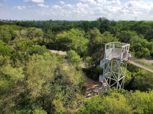 A tall observation tower surrounded by lush green trees and a clear blue sky in a natural landscape.